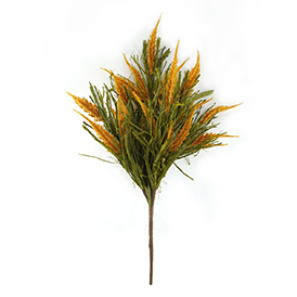 Heather Grass Bush
