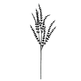 Black Stem