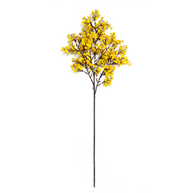 Wildflower Stem