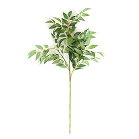 Greenery Stem