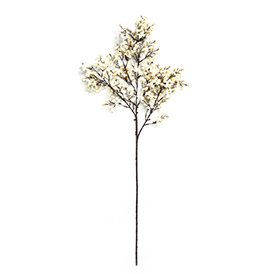 Wildflower Stem