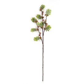 Greenery Stem