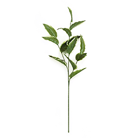 Greenery Stem
