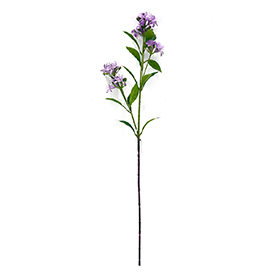 Wildflower Stem