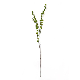 Spring Stem
