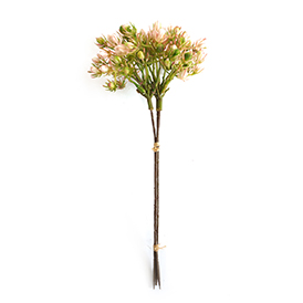 Spring Pick
