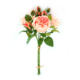 Rose Bush