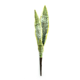 Greenery Pick
