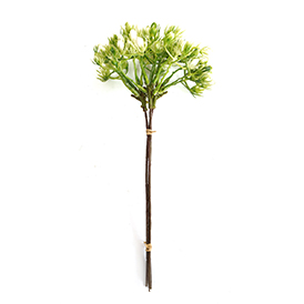 Spring Pick