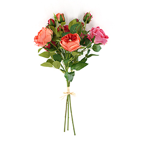 Rose Bush