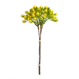 Spring Pick